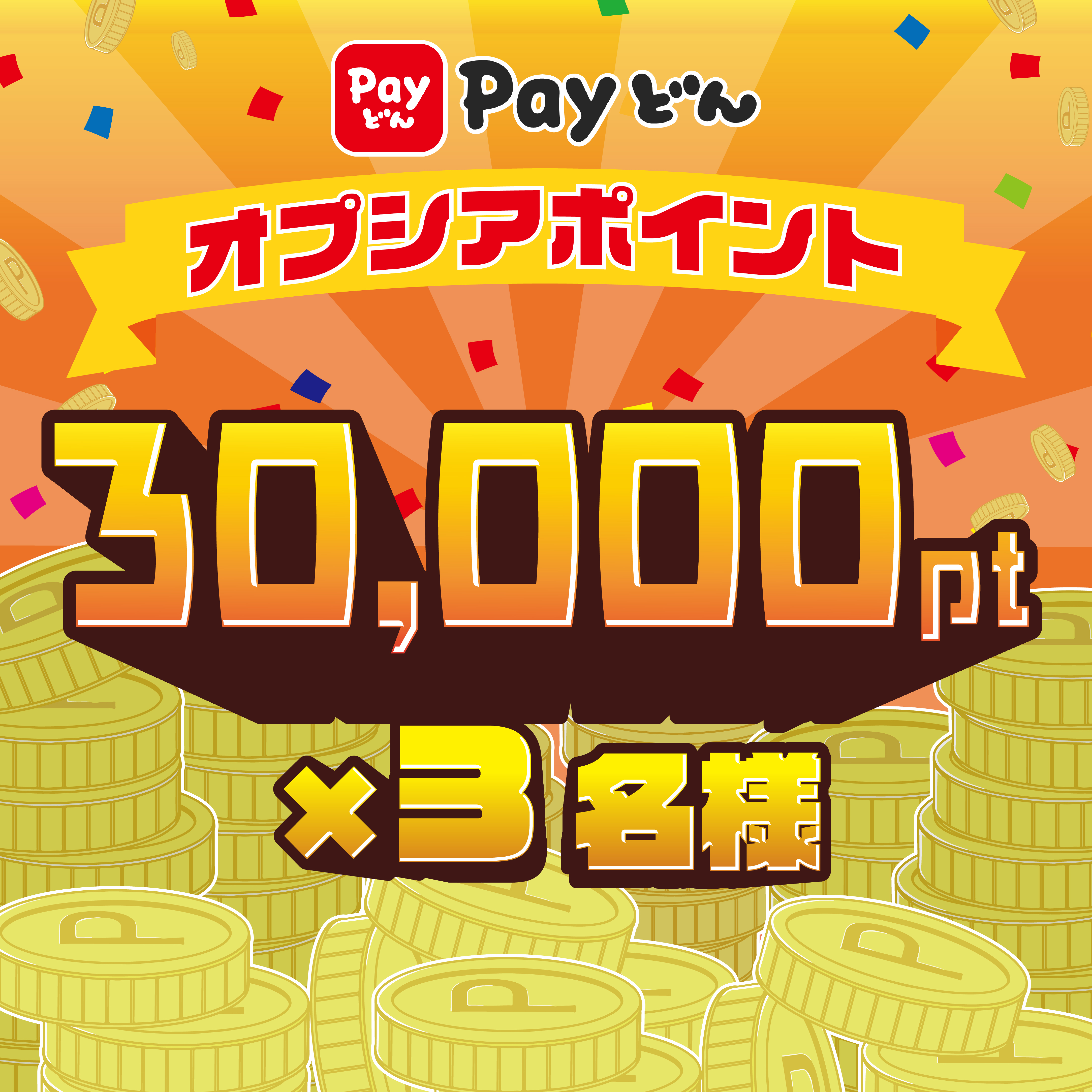 Payどん オプシアポイント 30,000pt