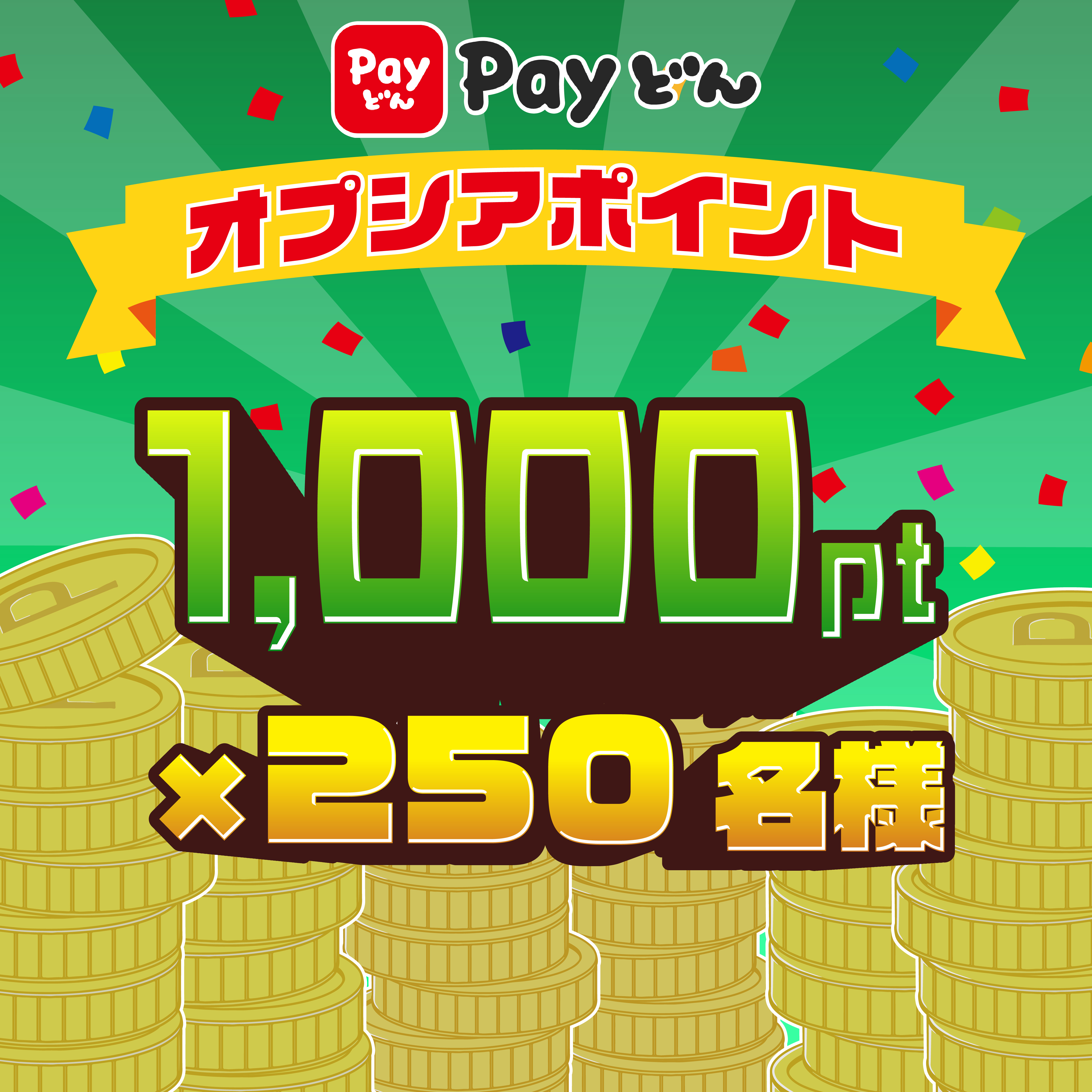 Payどん オプシアポイント 1,000pt